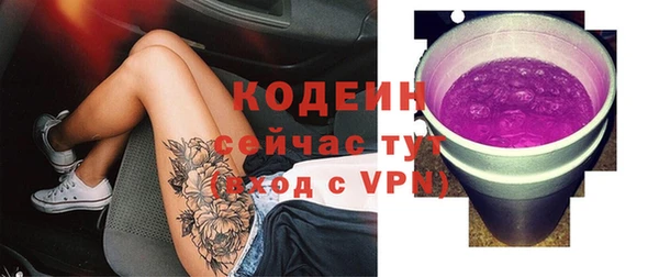Альфа ПВП Инта
