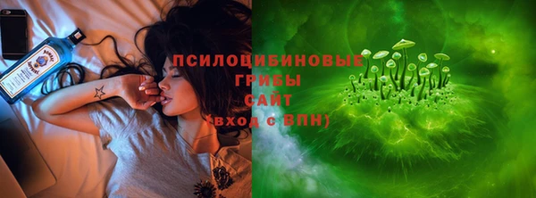 стаф Инсар