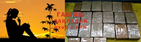 стаф Инсар