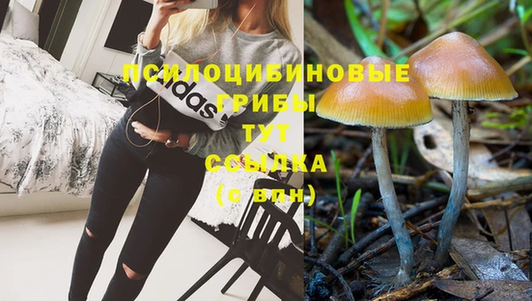 мяу мяу кристалл Тында