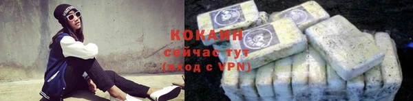 стаф Инсар