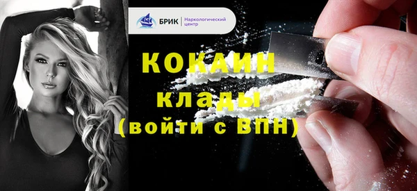 Альфа ПВП Инта